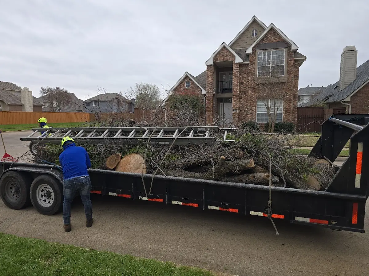 Expert Lot Clearing with proper safety equipment in Walnut Grove